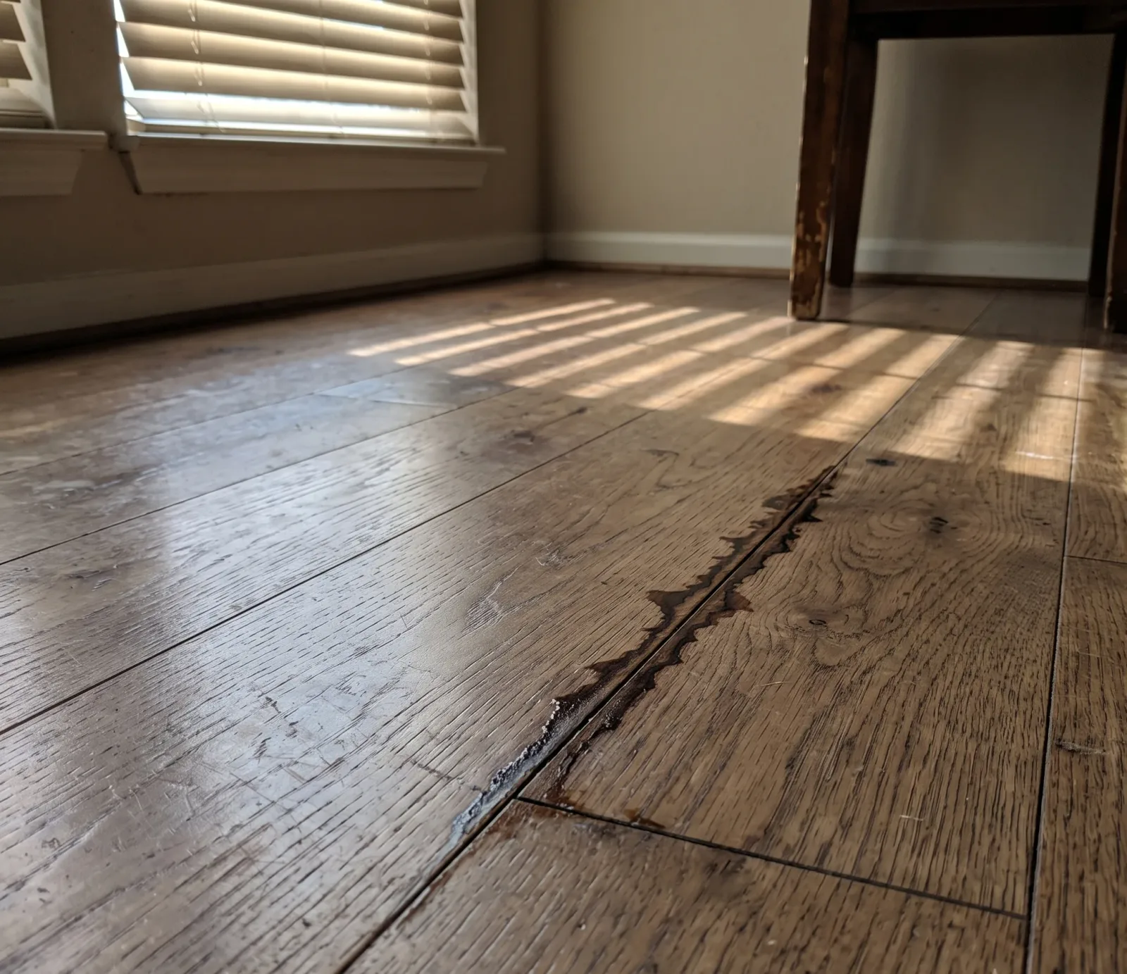 Hardwood Floor Water Extraction service in Centennial, CO